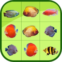 Ag体育官方app下载