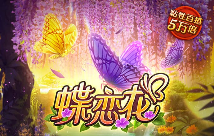 767体育彩票官网