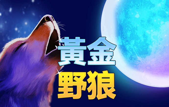 港澳宝典11133cm资料查询