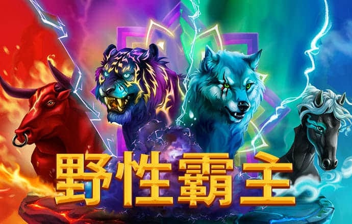 kaiyun·体育全站app