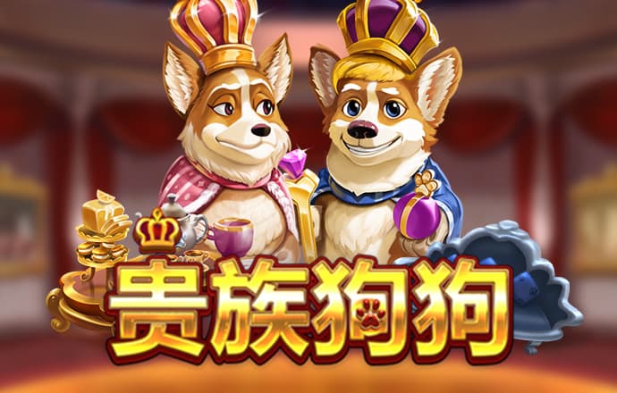 jinnian金年会